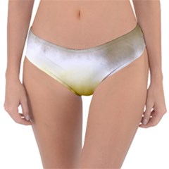 Ombre Reversible Classic Bikini Bottoms