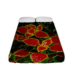 Flower Red Nature Garden Natural Fitted Sheet (full/ Double Size) by Nexatart