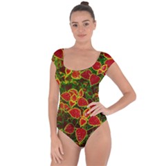 Flower Red Nature Garden Natural Short Sleeve Leotard  by Nexatart