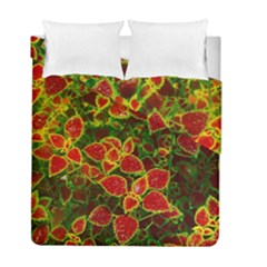 Flower Red Nature Garden Natural Duvet Cover Double Side (full/ Double Size) by Nexatart