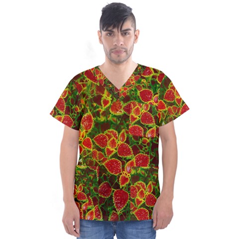 Flower Red Nature Garden Natural Men s V-neck Scrub Top by Nexatart