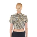 Background Structure Abstract Grain Marble Texture Cotton Crop Top View2