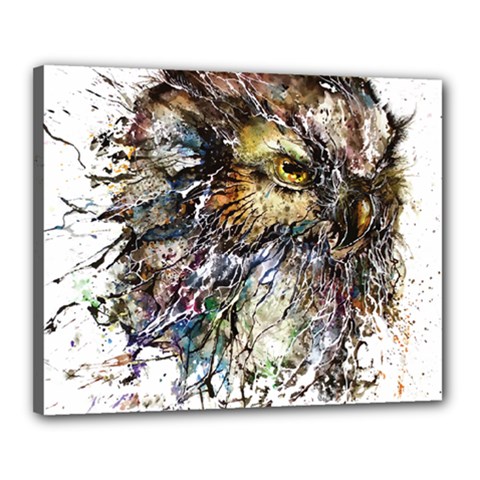 Angry And Colourful Owl T Shirt Canvas 20  X 16  by AmeeaDesign