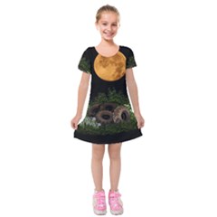 Ecology  Kids  Short Sleeve Velvet Dress by Valentinaart