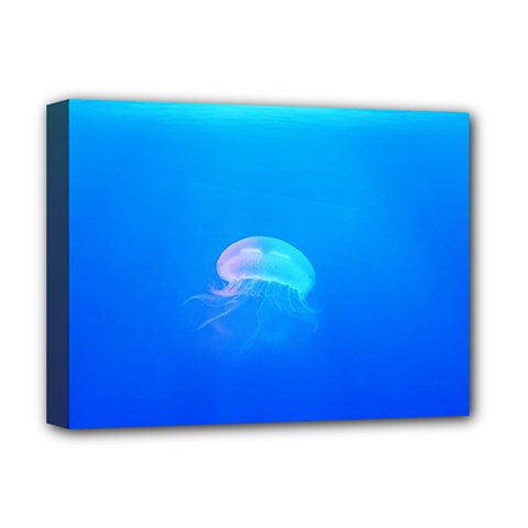 Jellyfish Deluxe Canvas 16  X 12   by Valentinaart