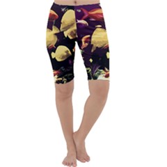 Tropical Fish Cropped Leggings  by Valentinaart