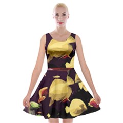 Tropical Fish Velvet Skater Dress by Valentinaart