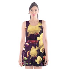 Tropical Fish Scoop Neck Skater Dress by Valentinaart