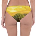 Landscape Reversible Hipster Bikini Bottoms View2