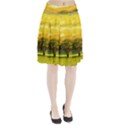 Landscape Pleated Skirt View1