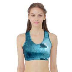 Shark Sports Bra With Border by Valentinaart