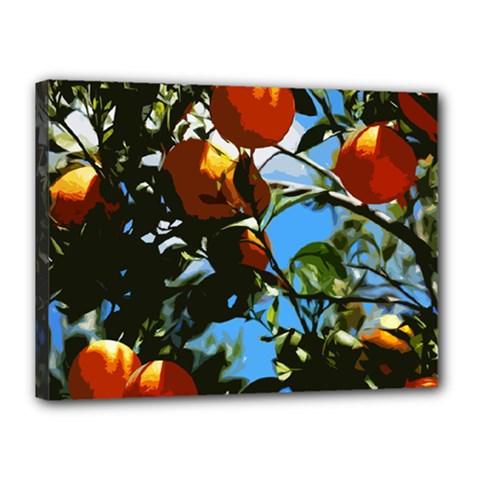 Orange Tree Canvas 16  X 12  by Valentinaart