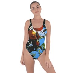 Orange Tree Bring Sexy Back Swimsuit