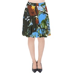 Orange Tree Velvet High Waist Skirt