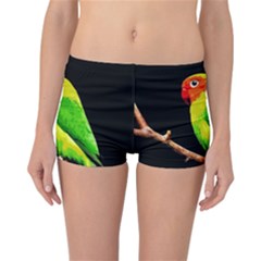 Parrot  Reversible Boyleg Bikini Bottoms by Valentinaart