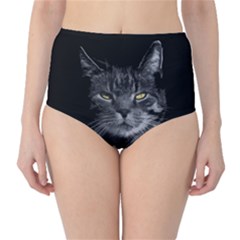 Domestic Cat High-waist Bikini Bottoms by Valentinaart