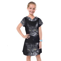 Domestic Cat Kids  Drop Waist Dress