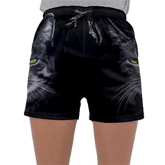 Domestic Cat Sleepwear Shorts