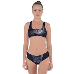 Domestic Cat Criss Cross Bikini Set