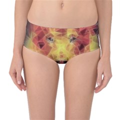 Fractal Lion Mid-waist Bikini Bottoms by Nexatart