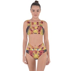 Fractal Lion Bandaged Up Bikini Set 