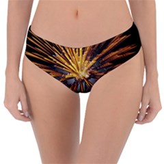 Pyrotechnics Thirty Eight Reversible Classic Bikini Bottoms