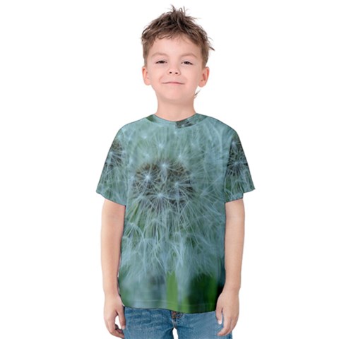 Dsc05992 Kids  Cotton Tee by DazzleMe