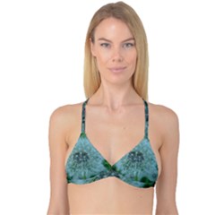 Dsc05992 Reversible Tri Bikini Top