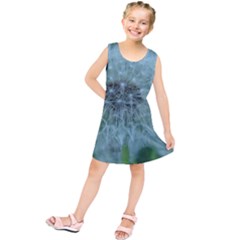 Dsc05992 Kids  Tunic Dress by DazzleMe