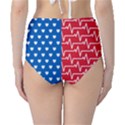 Usa Flag High-Waist Bikini Bottoms View2