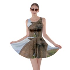 Komodo Dragons Fight Skater Dress by Nexatart