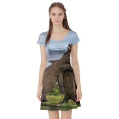 Komodo Dragons Fight Short Sleeve Skater Dress by Nexatart