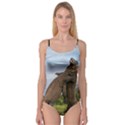 Komodo Dragons Fight Camisole Leotard  View1