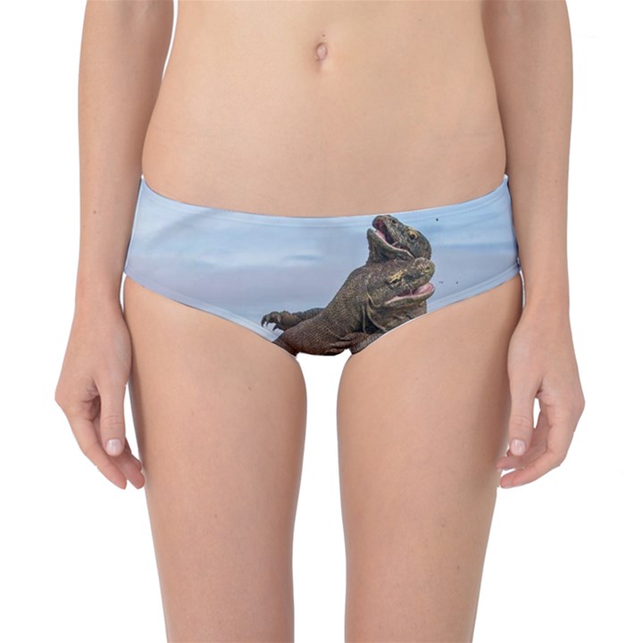 Komodo Dragons Fight Classic Bikini Bottoms