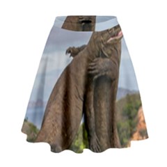 Komodo Dragons Fight High Waist Skirt by Nexatart