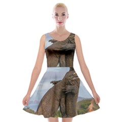 Komodo Dragons Fight Velvet Skater Dress by Nexatart