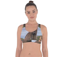 Komodo Dragons Fight Cross String Back Sports Bra