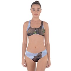 Komodo Dragons Fight Criss Cross Bikini Set by Nexatart