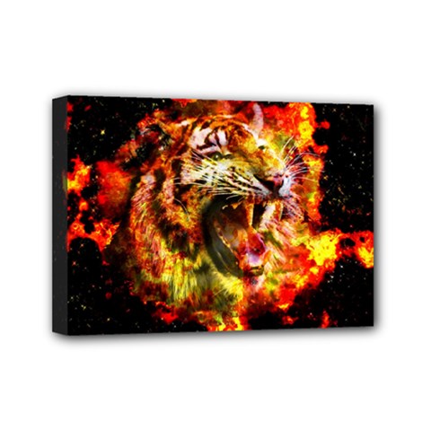 Fire Tiger Mini Canvas 7  X 5  by stockimagefolio1