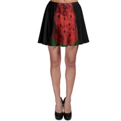 Watermelon Cat Skater Skirt by Valentinaart