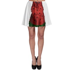 Watermelon Cat Skater Skirt by Valentinaart