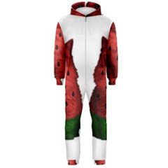 Watermelon Cat Hooded Jumpsuit (men)  by Valentinaart