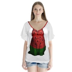 Watermelon Cat V-neck Flutter Sleeve Top by Valentinaart