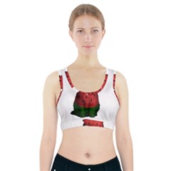 Watermelon Cat Sports Bra With Pocket