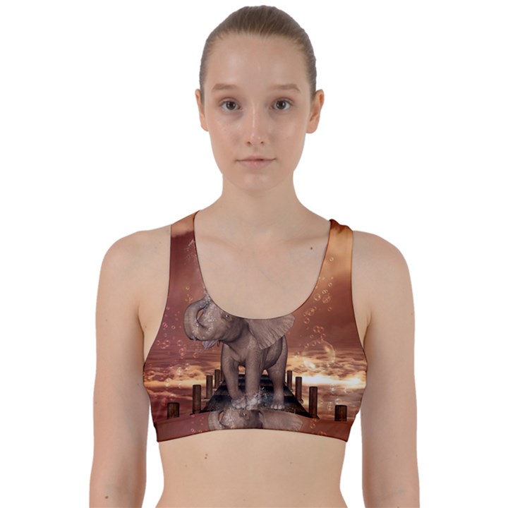 Cute Baby Elephant On A Jetty Back Weave Sports Bra