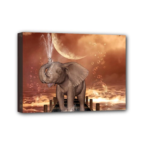 Cute Baby Elephant On A Jetty Mini Canvas 7  X 5  by FantasyWorld7