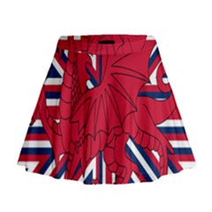 Alternatively Mega British America Red Dragon Mini Flare Skirt by Mariart