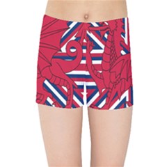 Alternatively Mega British America Red Dragon Kids Sports Shorts