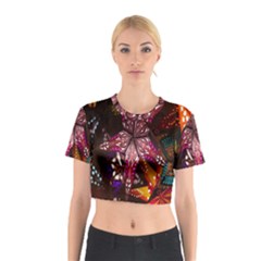 Hanging Paper Star Lights Cotton Crop Top