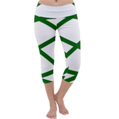 Lissajous Small Green Line Capri Yoga Leggings by Mariart